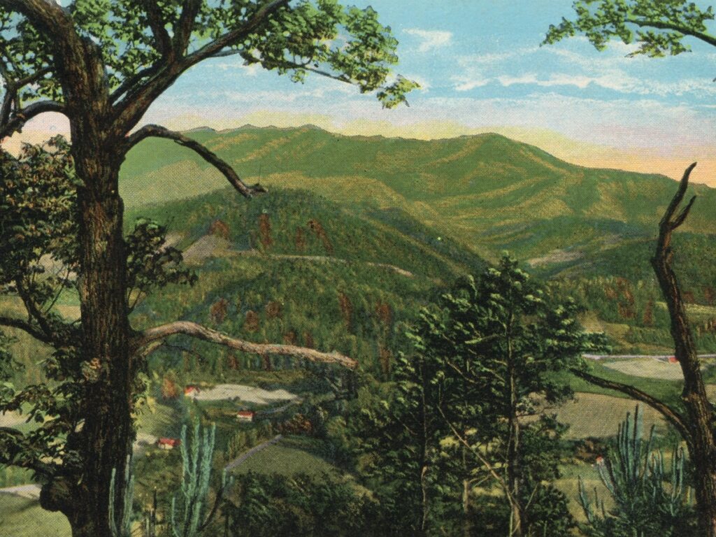 Birth of a National Park in the Smokies: How Knoxville Turned a Great ...